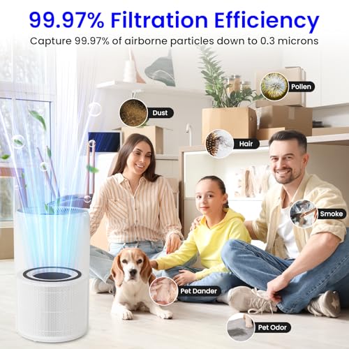 2-Pack Replacement Air Purifier Filter H13 True HEPA & Activated Carbon