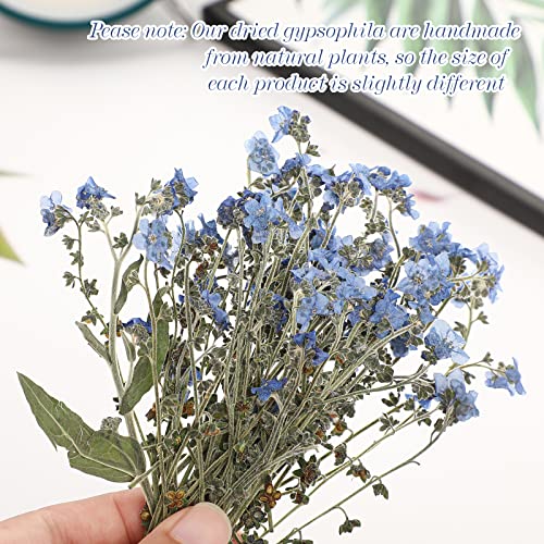50 Pcs Natural Blue Forget Me Not Pressed Dried Flowers for Resin DIY Crafts