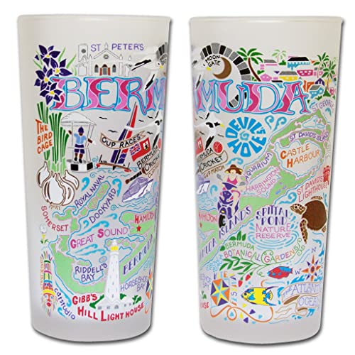 Bermuda Frosted Drinking Glass 15oz - Decorative Art Glass Cup