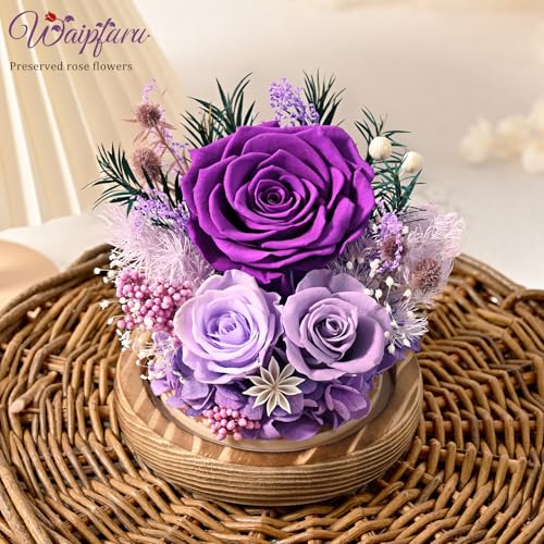 Preserved Purple Rose in Glass Dome with LED Lights, Eternal Flower Gift
