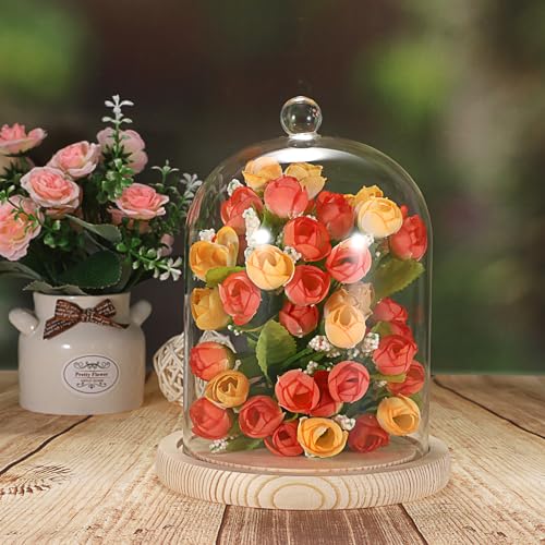 Clear Glass Display Dome Cloche with Wood Base, 7.3-inch Decorative Jar