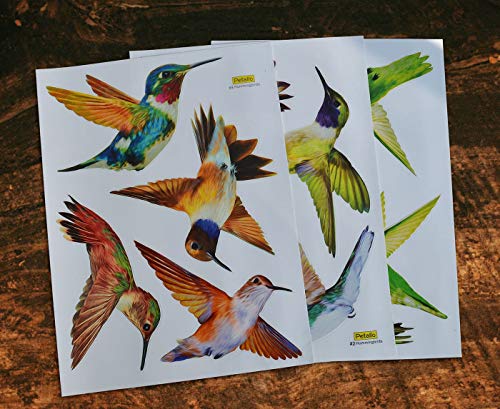 Hummingbird Window Clings - Set of 12 Anti-Collision Decals