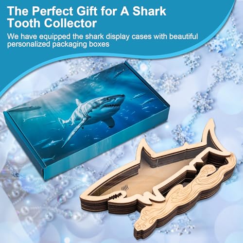8.7 Inch Wooden Shark Tooth Display Case Shadow Box for Collectors