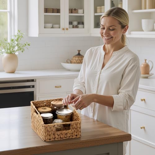 Natural Water Hyacinth Wicker Pantry Baskets with Handles 2 Pack