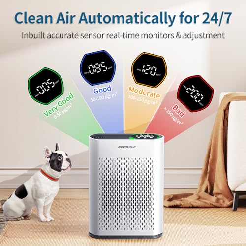 Large Room Air Purifier with True HEPA Filter and Air Quality Display