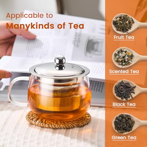 PARACITY 13 oz Glass Tea Mug with Infuser & Lid - Stovetop Safe, Fine Mesh Filter