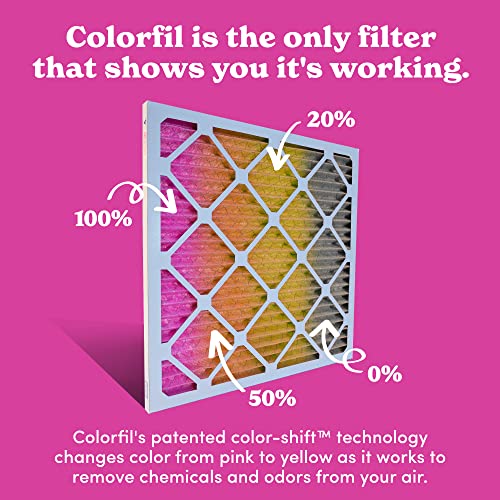 Colorfil 20x20x1 MERV 8 Air Filter 2-Pack for Pet Odor and Dander