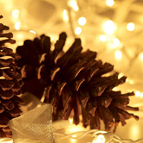 HISHINY Christmas Lights 100 Count Clear Mini String Lights 21ft White Wire