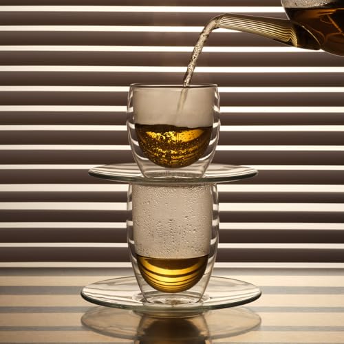Double Walled Insulated Glass Tumblers, 12 oz Set of 2