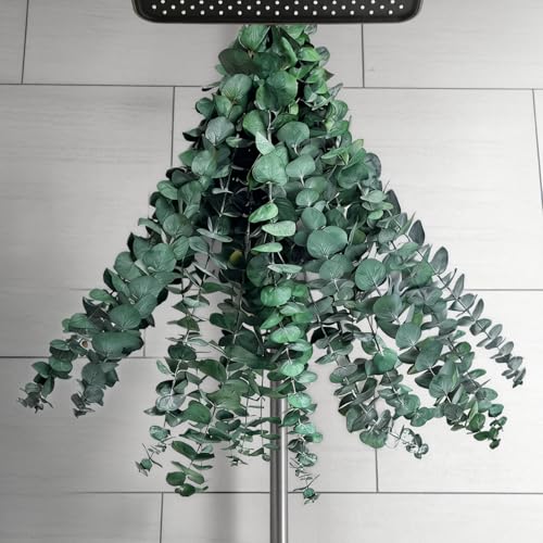 17" Preserved Eucalyptus Stems (20 Pack) - Dried Greenery for Shower & Vase
