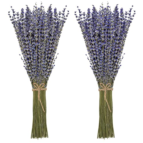 Natural Dried Lavender Flower Bundles for Home Decor and Fragrance
