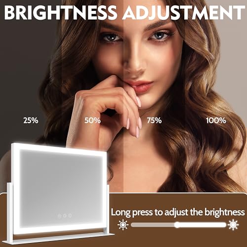 ROLOVE Lighted Makeup Mirror 16.3"x12.6", Hollywood Vanity with 10X