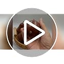 6PCS Lifelike Artificial Brown Pears for Home Decor & Centerpieces