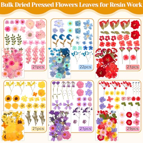 318 PCS Dried Pressed Flowers and Butterfly Stickers Set for DIY Crafts