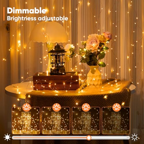 Ariceleo 4 Pack Outdoor String Lights 65.6 Ft Warm White LED with Remote & Timer, Waterproof Fairy Lights for Patio, Wedding, Party