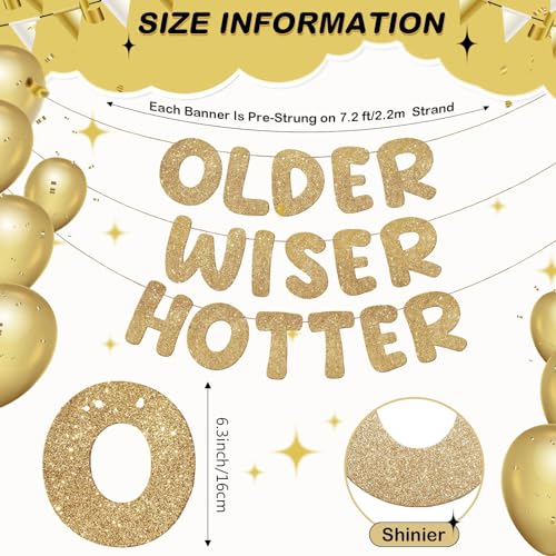 Older Wiser Hotter Glitter Banner - Pre-Strung Funny Birthday Party Decorations