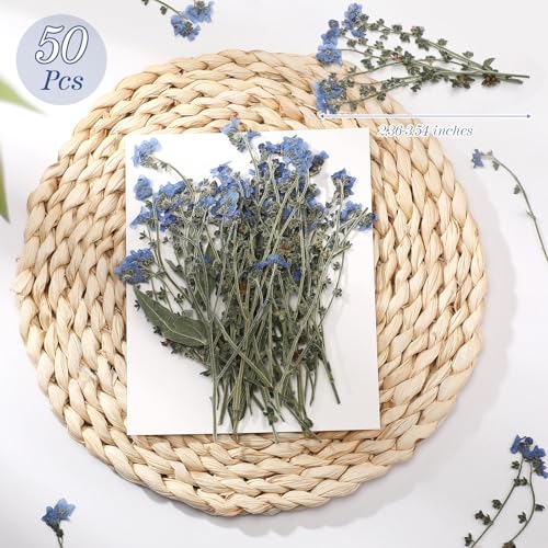 50 Pcs Natural Blue Forget Me Not Pressed Dried Flowers for Resin DIY Crafts