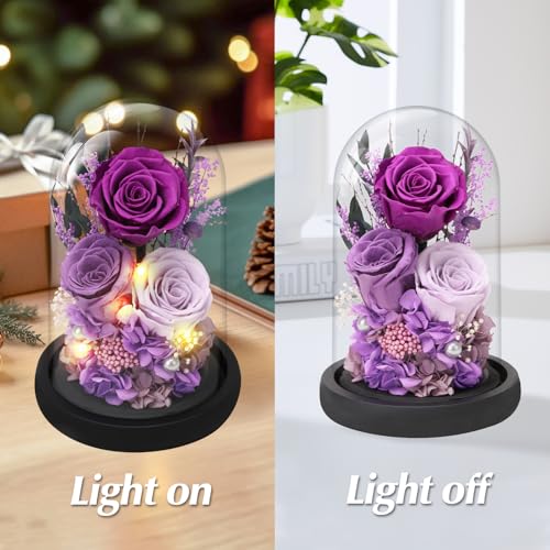 Preserved Purple Rose in Glass Dome with LED Lights, Romantic Gift for Her