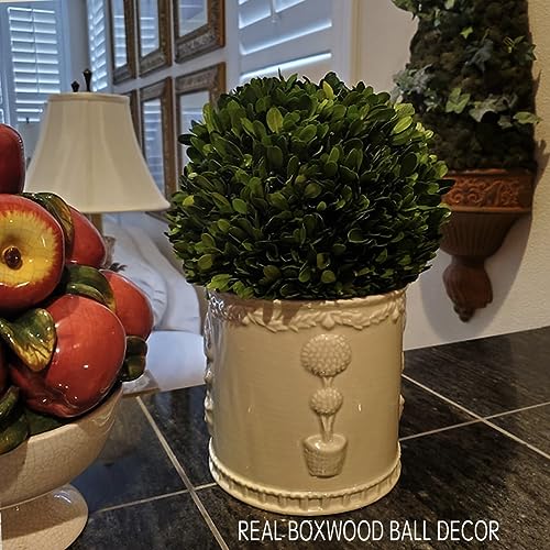 6-Inch Preserved Boxwood Decorative Ball for Indoor Home Decor