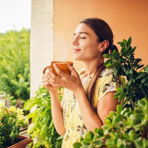 VELENTI Gardener Coffee Mug with Shovel Spoon - Funny Plant Pot Design, 320ml - Gift for Gardener, Mom, Dad, Nature Lover