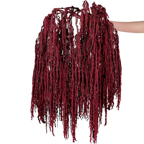 Red Natural Dried Amaranthus Hanging Flowers, 12 Pcs 23-Inch Preserved Stems