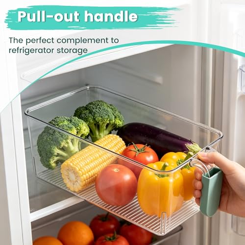 Ice Bin and Scoop Set - Clear Plastic Freezer Storage Container with Handle