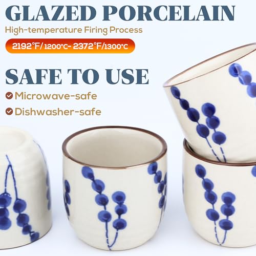 Ceramic Sake Set for 4 - Japanese Porcelain Sake Carafe & Cups - Gift Ready