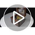 Solid Walnut Wood Music Box - You Are My Sunshine with Photo Frame