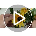 Artificial Sunflower Garland 3-Pack - 7.5ft Silk Hanging Flower Vines