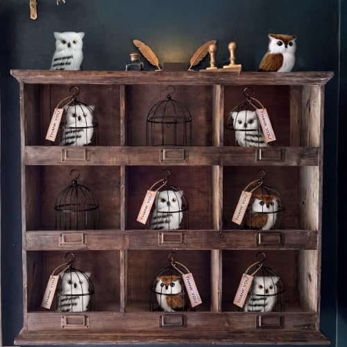 12 Pack Halloween Wizard Owl Mini Figurines with Black Cage - 6 owls + 6 cages