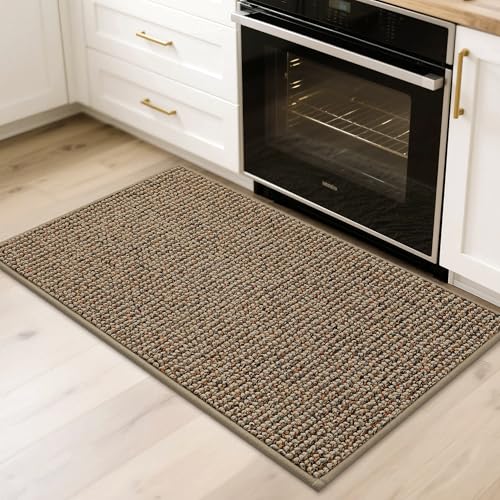 2x3 Indoor Entryway Rug, Non-Slip Washable Door Mat for Hallway & Laundry Room