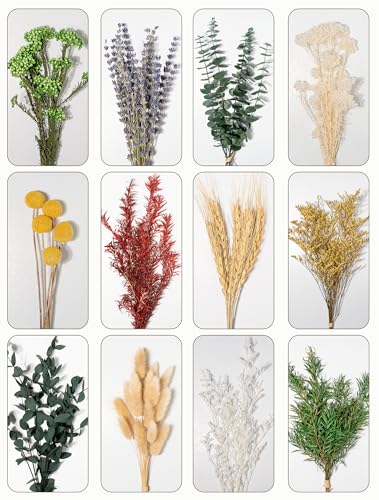 Natural Dried Flowers Bouquet Set (12 Kinds) for DIY Crafts & Vase Decor