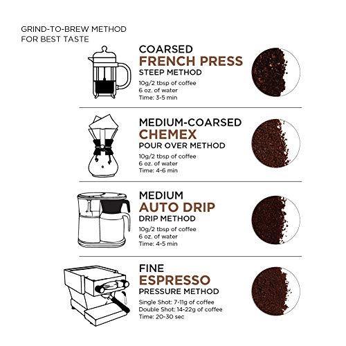 Amazon Fresh Colombia Whole Bean Coffee, Medium Roast, 32 Oz