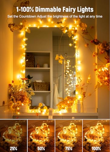Minetom 33 ft 100 LED USB Fairy Lights with Remote and Timer