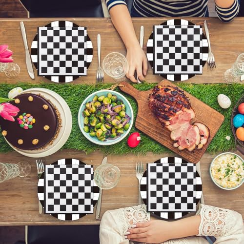 40-Piece Race Car Party Supplies: Checkered Flag Plates and Napkins Set