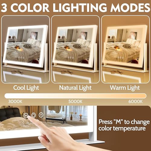 ROLOVE Lighted Makeup Mirror 16.3"x12.6", Hollywood Vanity with 10X