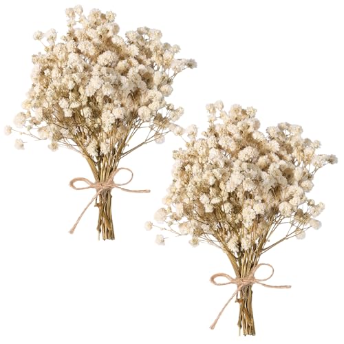 Preserved Dried Baby's Breath Bouquet - 7-inch Natural White Gypsophila