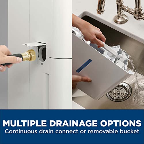 35 Pint Portable Dehumidifier for Basement and Bedroom with Continuous Drain