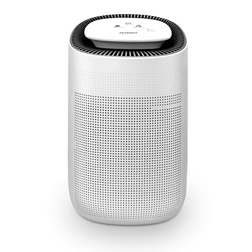 Compact 1000ml Air Dehumidifier with True HEPA Air Purifier and Auto Shutoff
