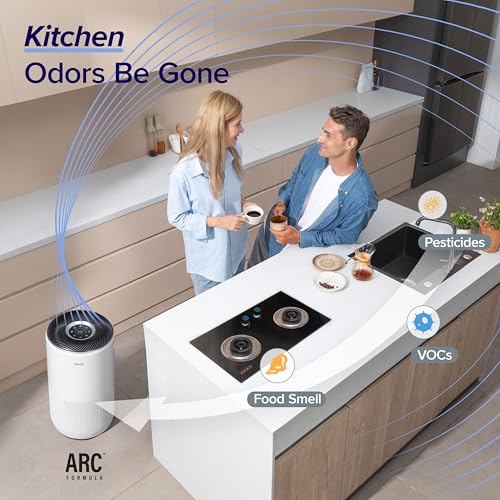 Smart Air Purifier for Large Rooms with True HEPA Filter and Air Quality Monitor