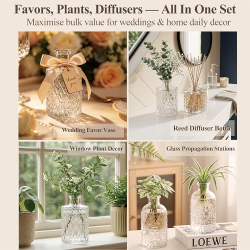 Clear Glass Bud Vase Set of 12 - Small Flower Vases for Table Centerpieces