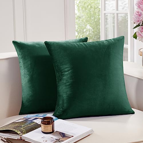 Deconovo Velvet Throw Pillow Covers for Sofa 26x26 in, Soft Square Cushion Cases for Couch Bed Living Room Decor, Set of 2, Emerald Green