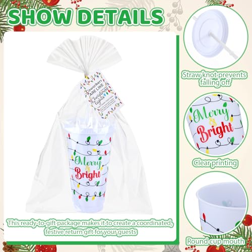 Willinglong Christmas Light Bulb Themed 24 oz Reusable Tumblers with Lids & Straws – Bulk Gift Set for Staff and Coworkers