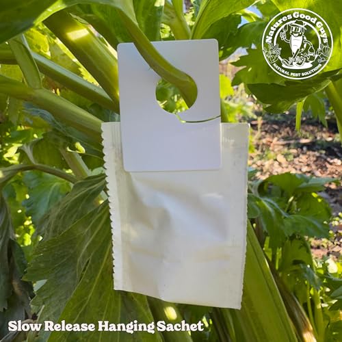 Predatory Mite Hanging Sachets for Thrips and Spider Mite Control