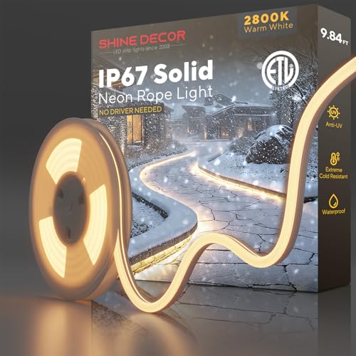 10ft Outdoor LED Neon Rope Light, IP67 Waterproof Silicone Strip, 120V Warm