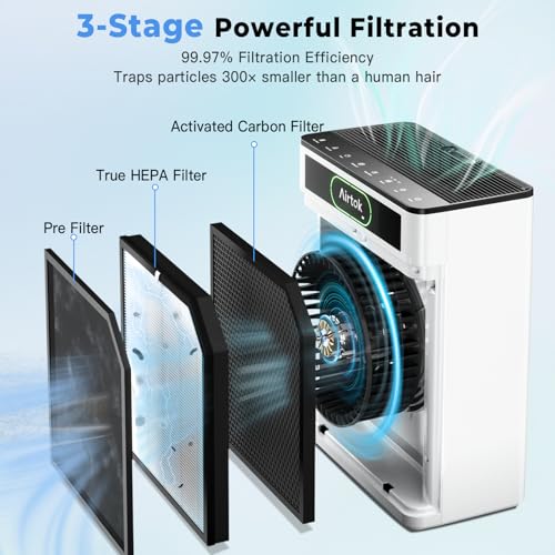 Large Room HEPA Air Purifier for Home, Smoke, Pet Hair, and Sleep Mode
