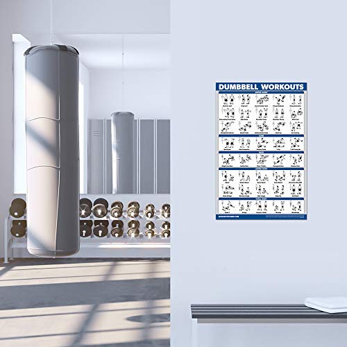 Palace Learning Dumbbell Workout Exercise Poster - 18" x 24" Laminated Home Gym Chart