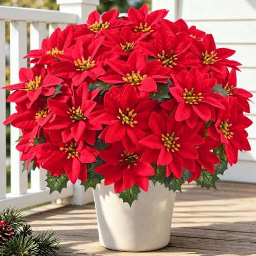 Martine Mall Red Potted Poinsettias (2-pack), UV-Resistant Outdoor Christmas Flowers