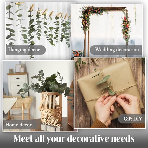Preserved Dried Eucalyptus Stems Shower Bundle - 17 Inch Branches (30 Pcs)