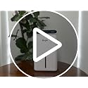 Small Home Dehumidifier 98oz with Drain Hose & 7 Colors for Bedroom